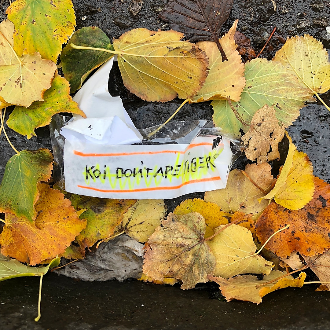 Vandalised Words (Koi Don't Ape Tigers)